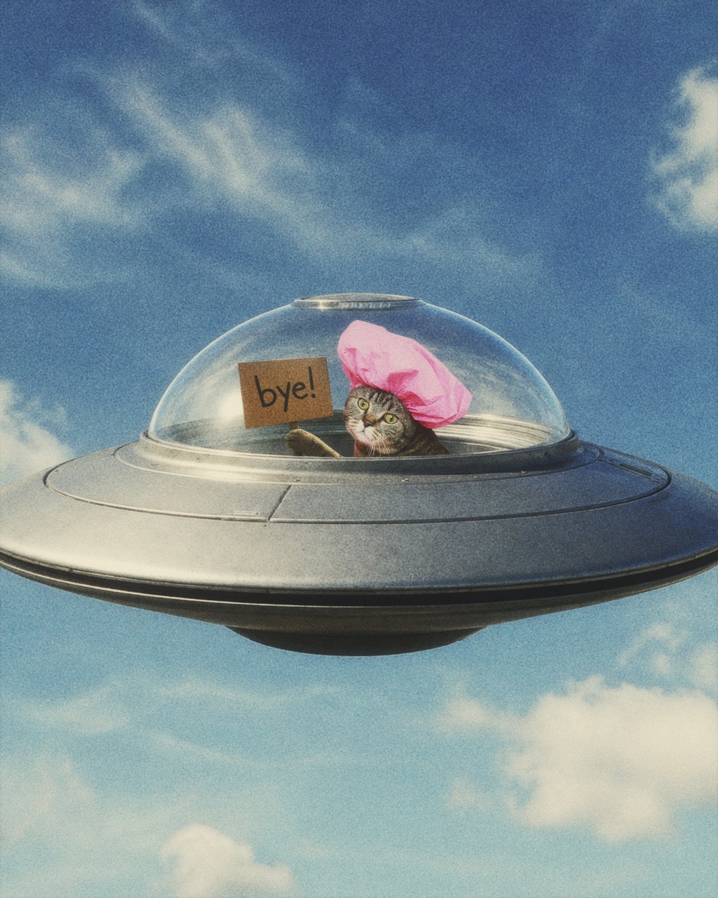 Bye! Fine Art Print