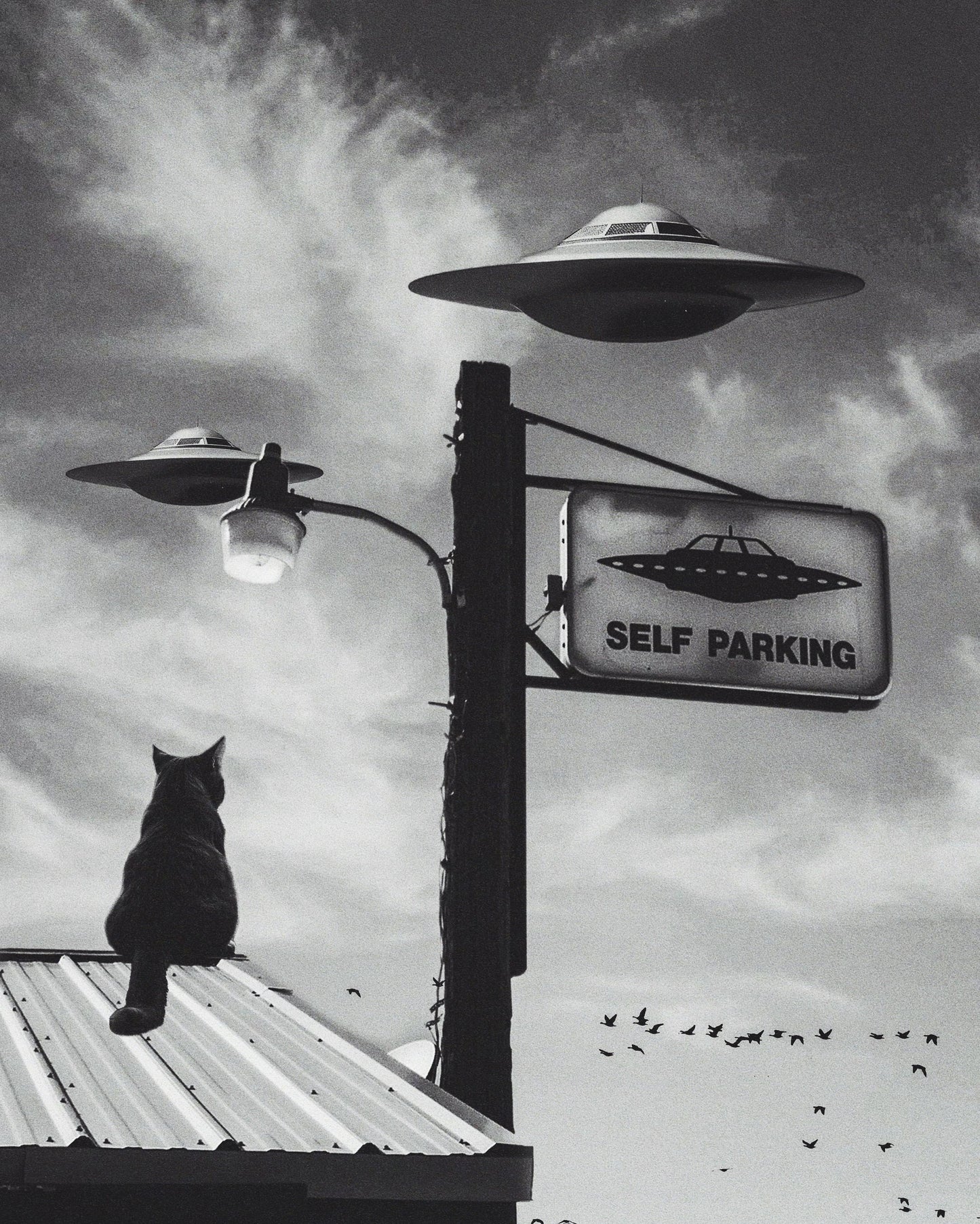 Self Parking Fine Art Print