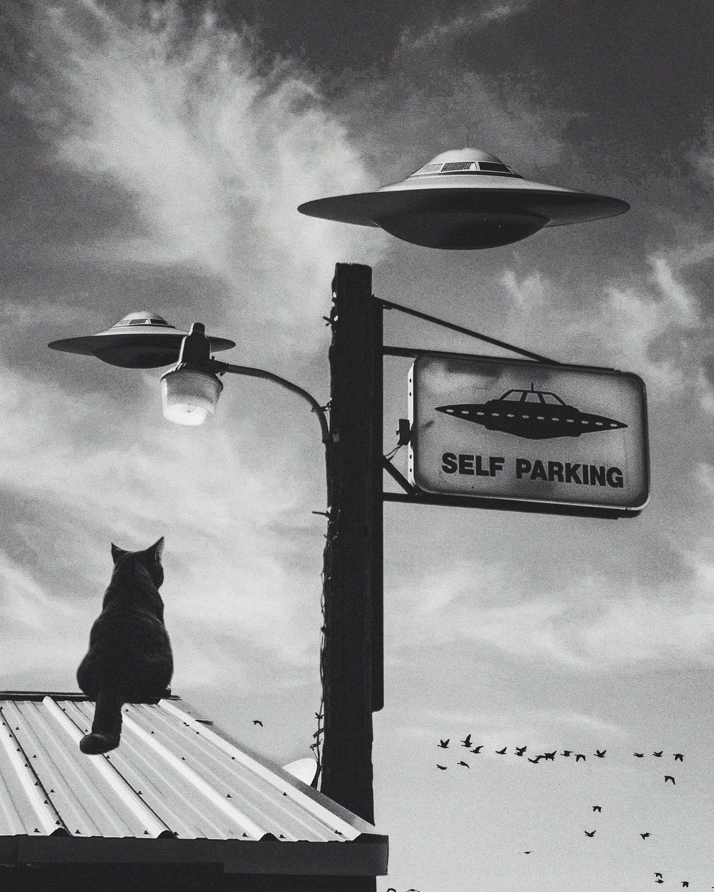 🎁 Self Parking Fine Art Print (100% off)