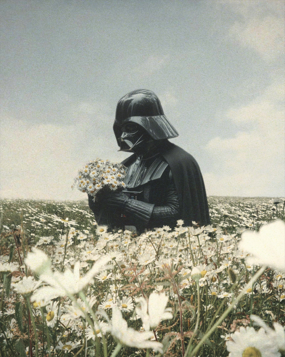 Smell the Flowers Fine Art Print
