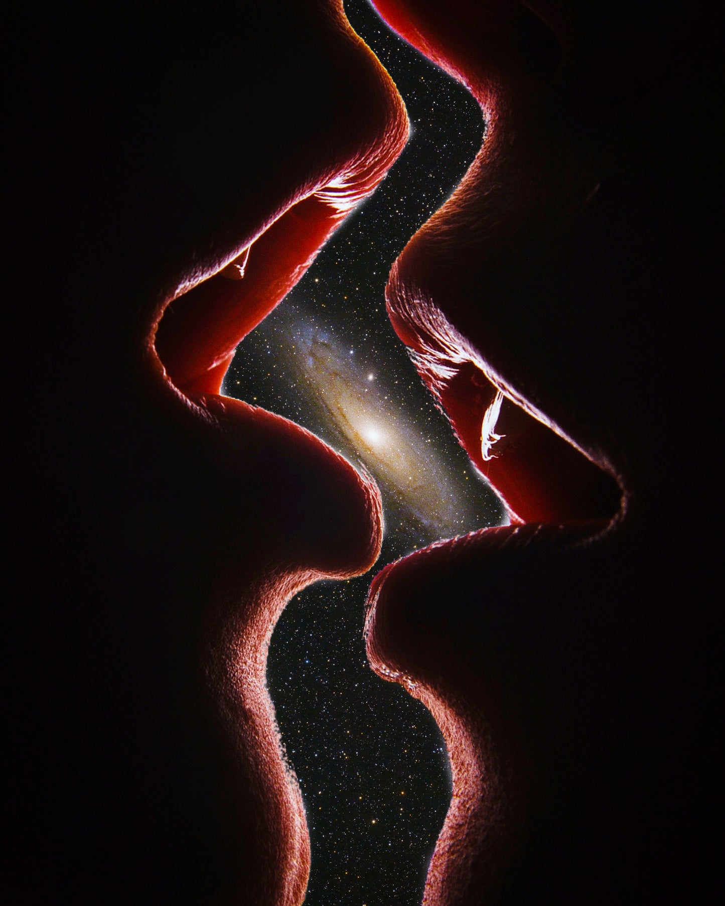 The Space Between Us Fine Art Print