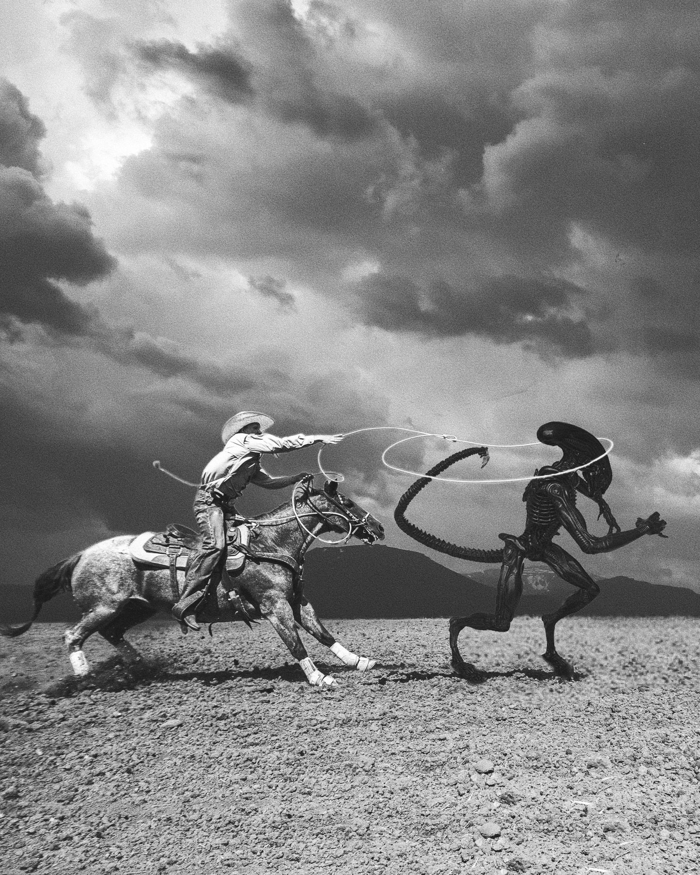 Yeehaw Fine Art Print