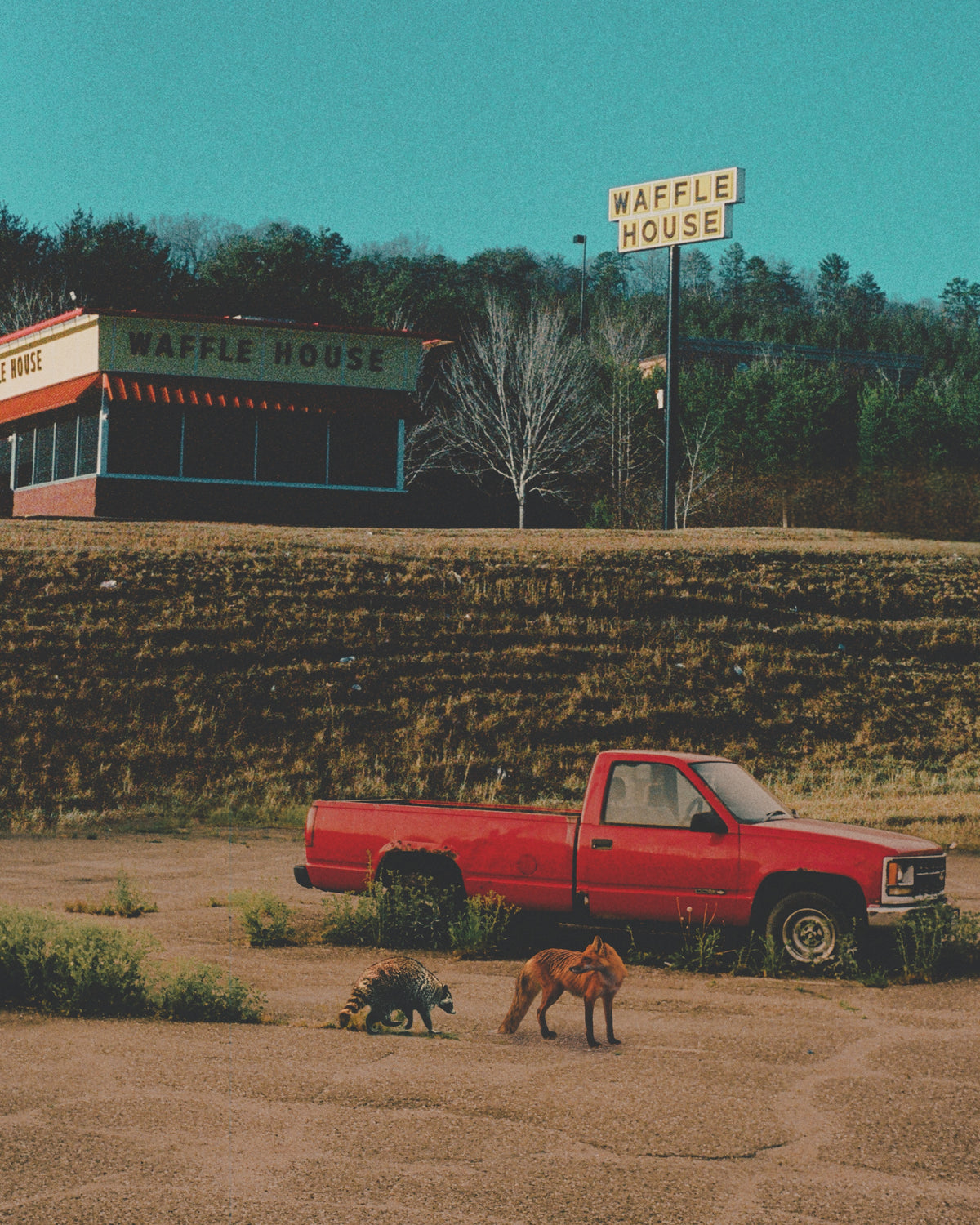 Friends Getting Breakfast Fine Art Print