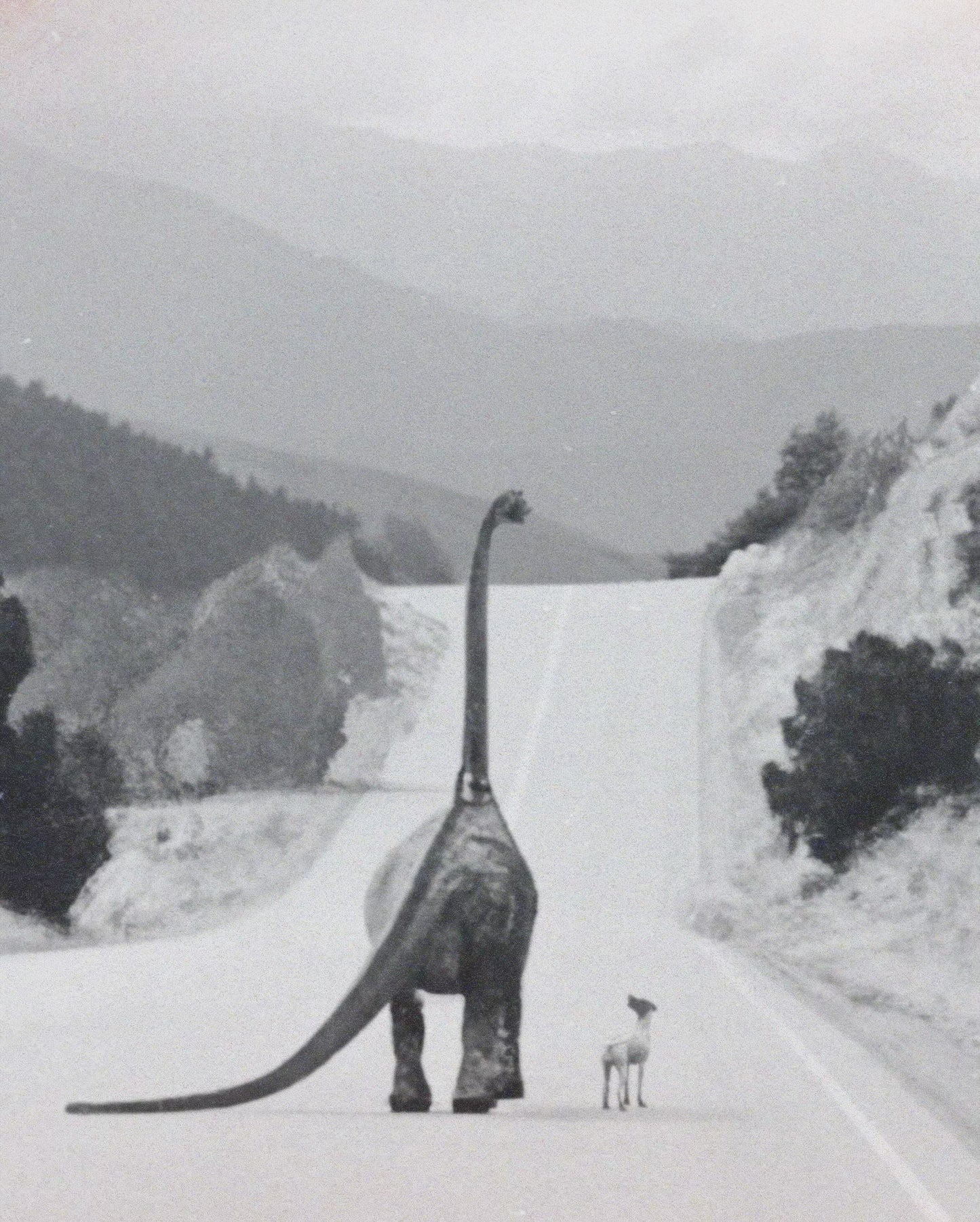 Buddies Fine Art Print - Cult Class Art Shop