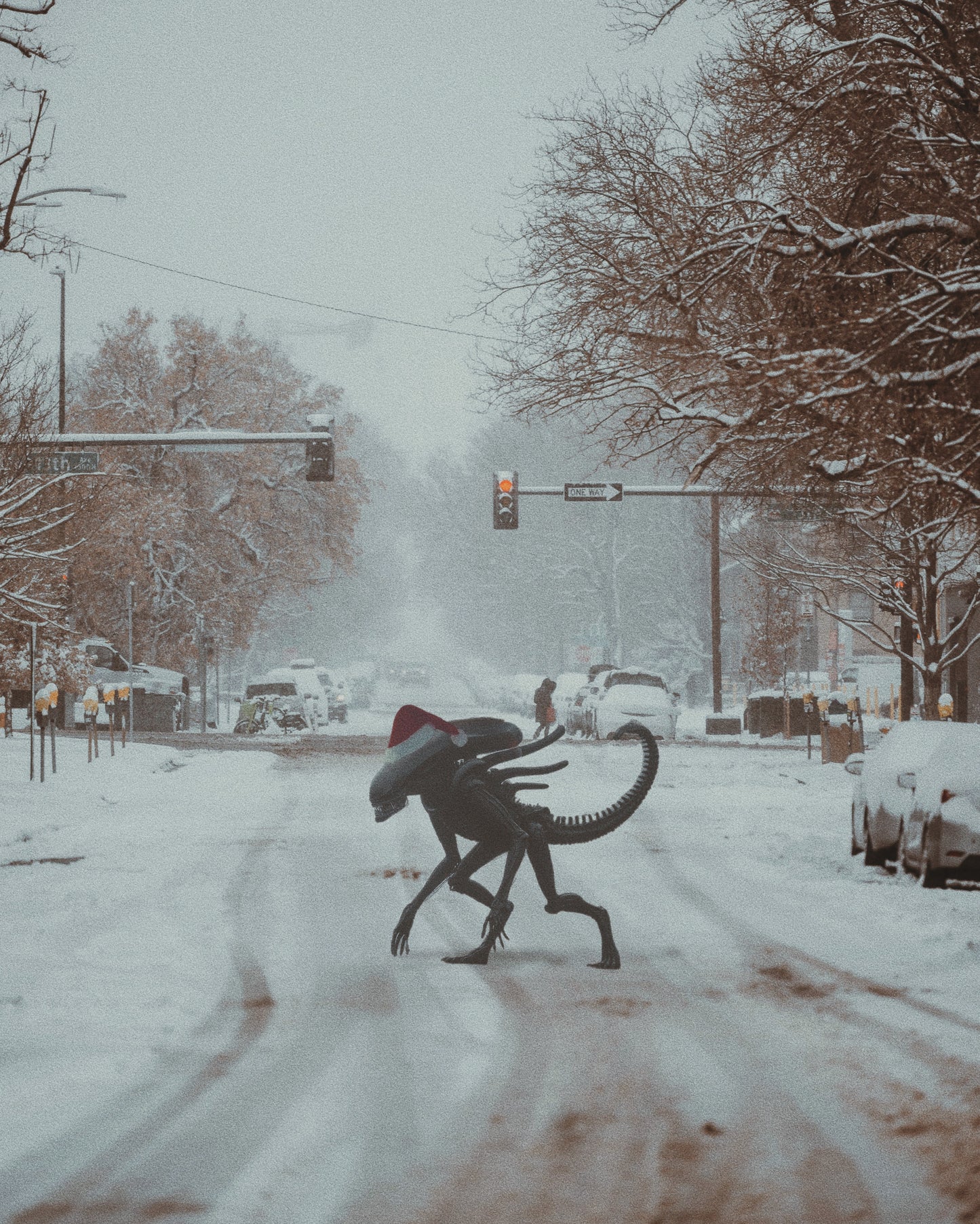 Tis The Season Fine Art Print