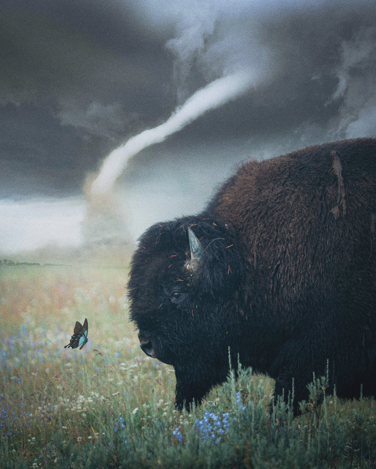 Calm Before The Storm Fine Art Print