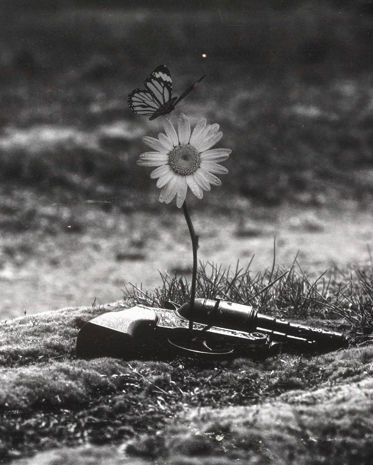 Where Violence Ends Fine Art Print
