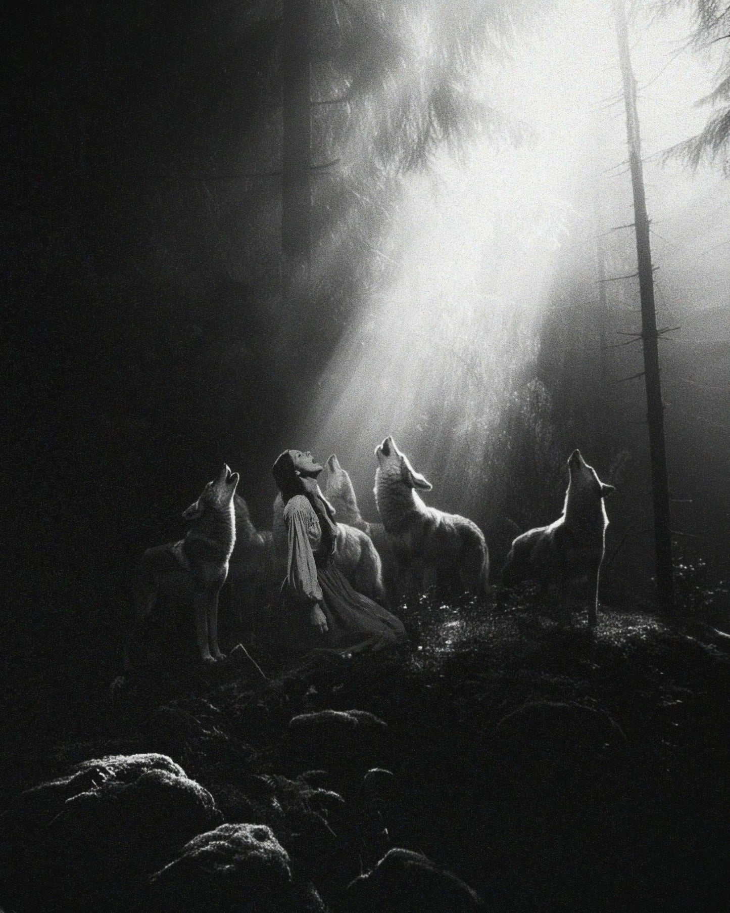 Call of the Wild Fine Art Print