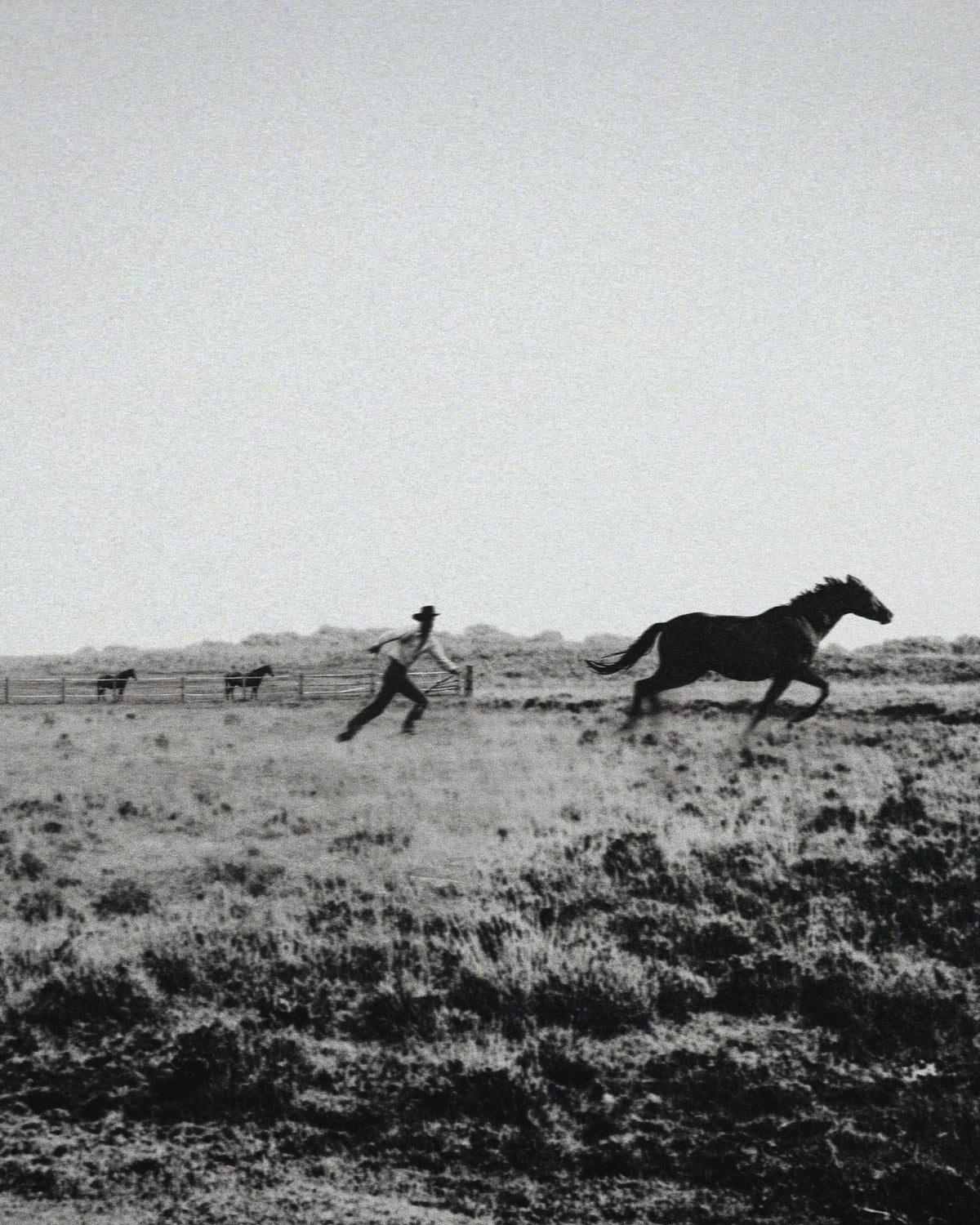 Catch Me If You Can Fine Art Print