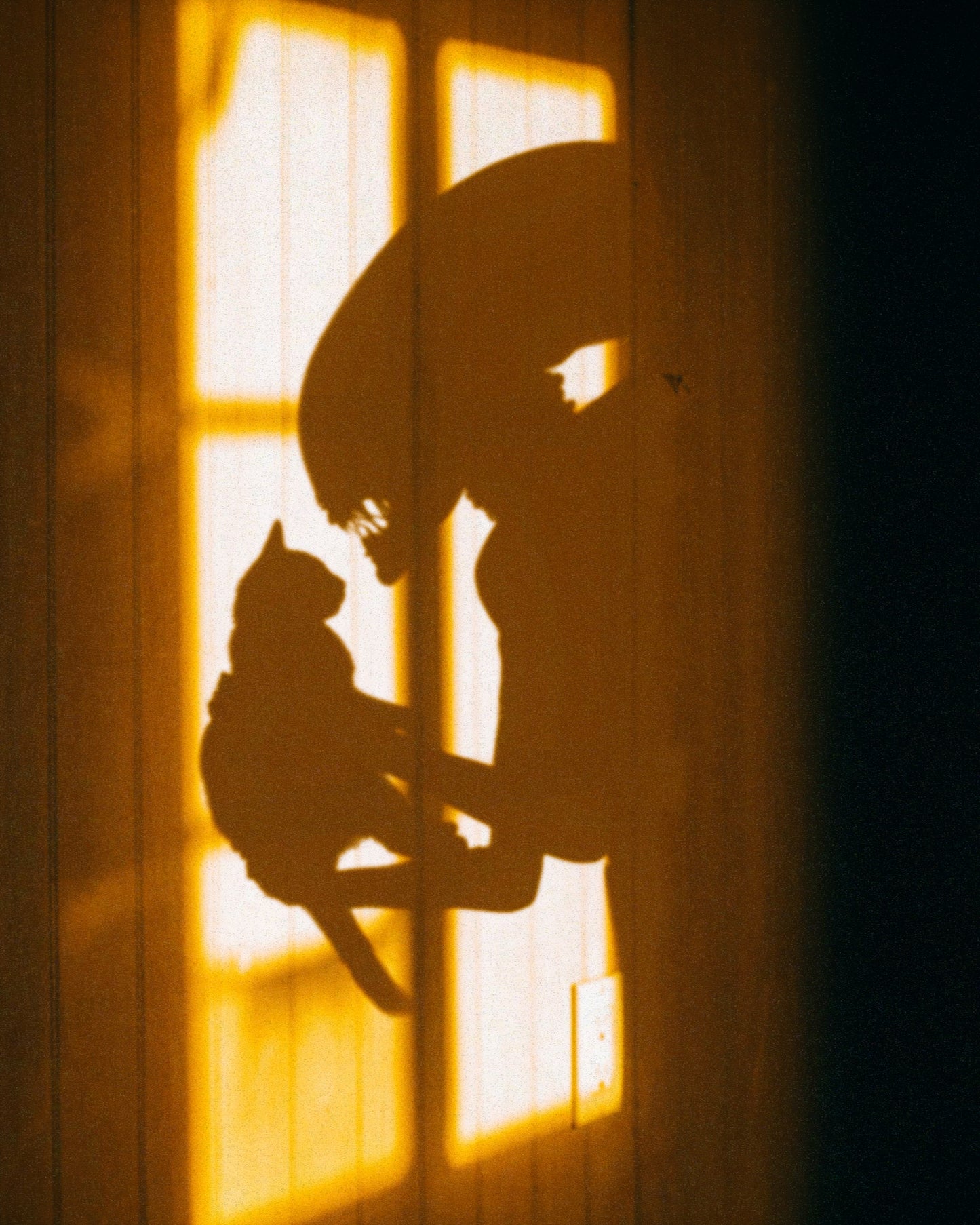 Jonesy Fine Art Print