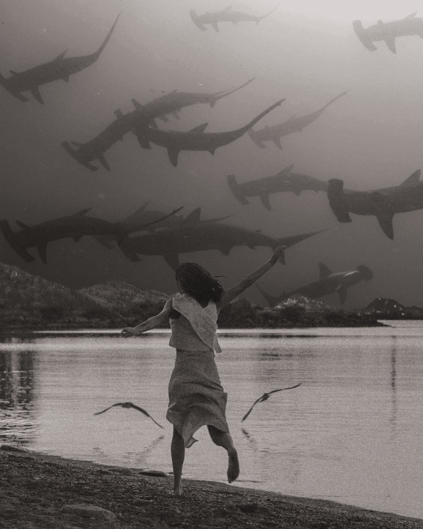 Running with the Sharks Fine Art Print