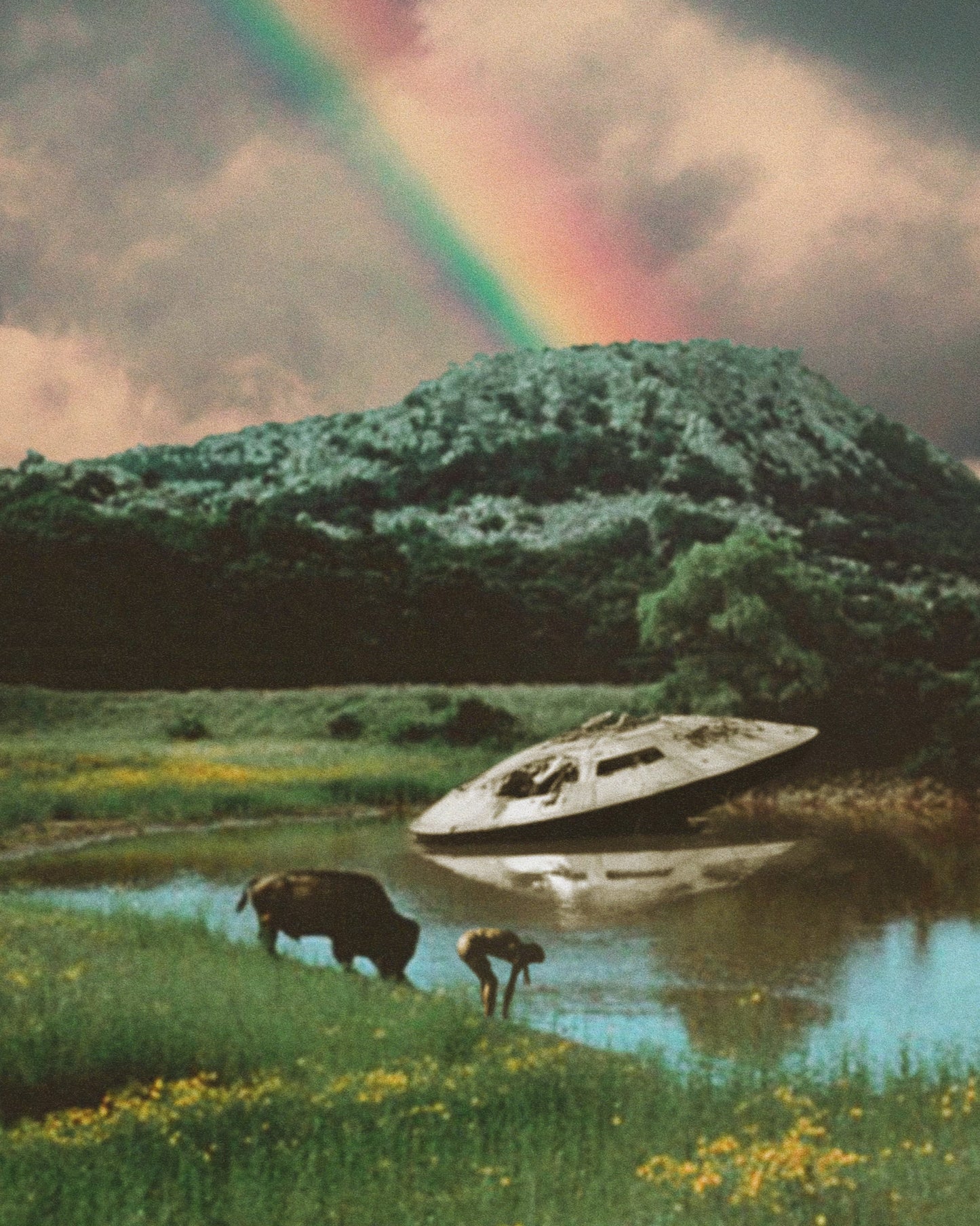 The Wreckage Fine Art Print