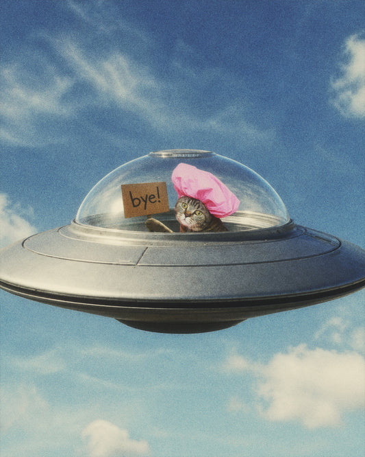 Bye! Fine Art Print