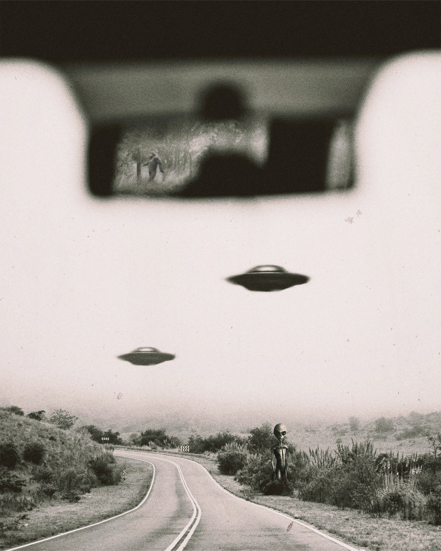 Traffic Stop Fine Art Print