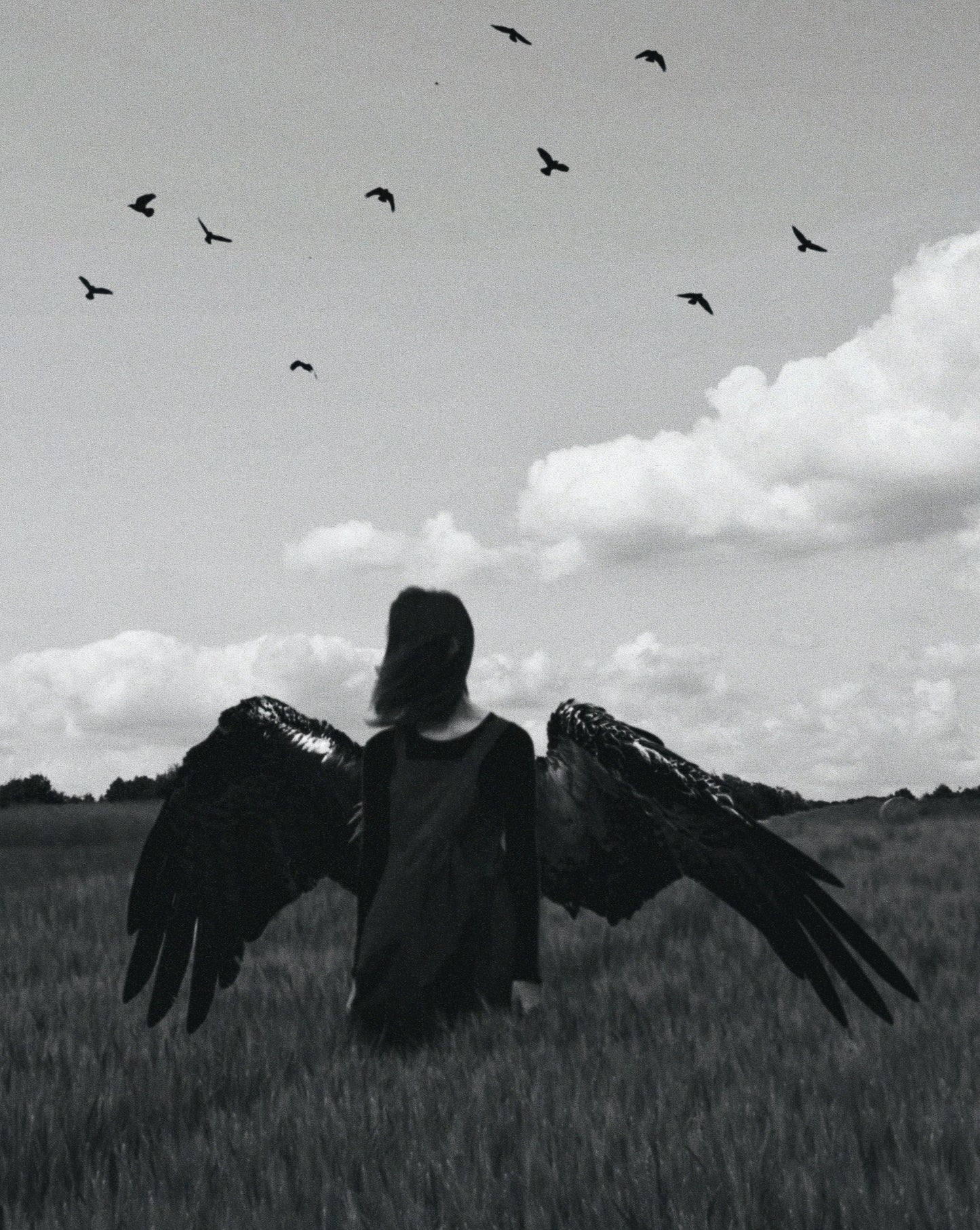The Wings I Never Use Fine Art Print
