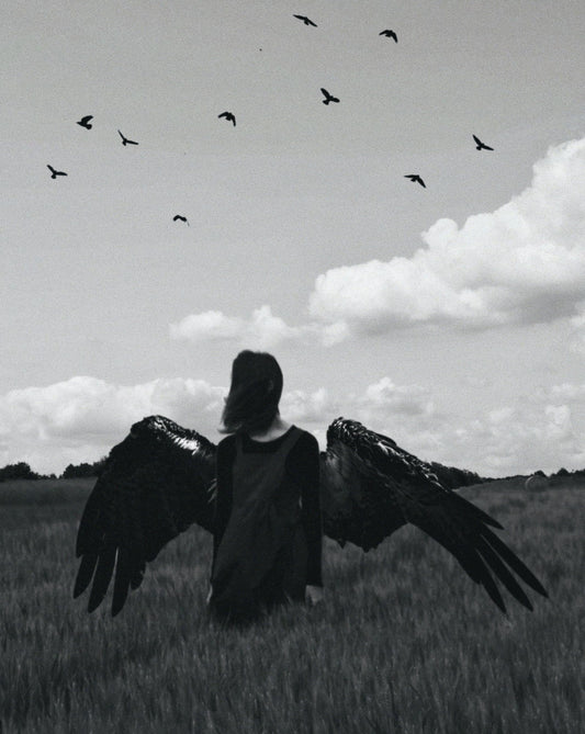 The Wings I Never Use Fine Art Print