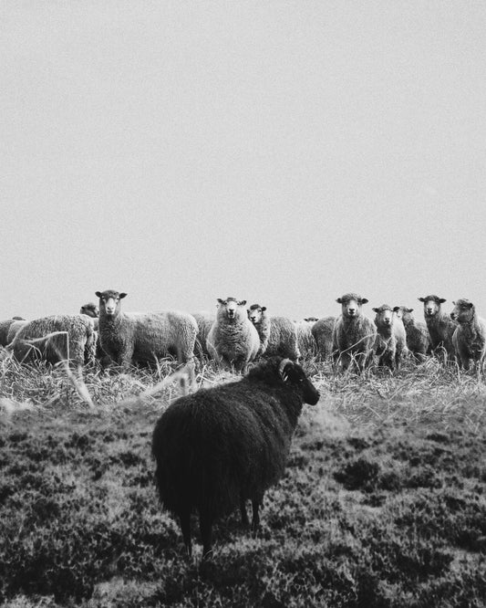 Outcast Fine Art Print