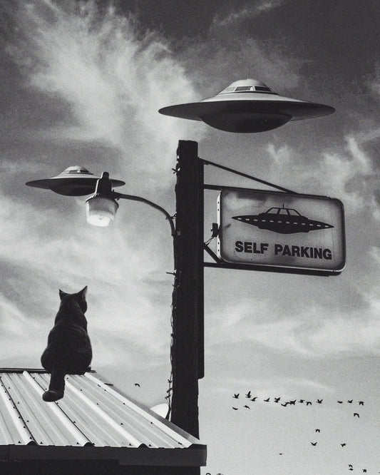 🎁 Self Parking Fine Art Print (100% off)