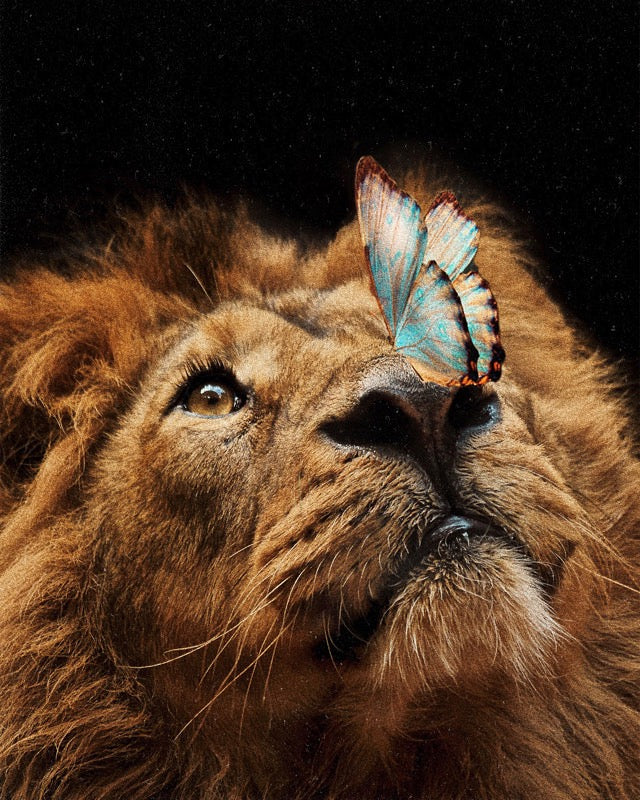 🎁 Balance Fine Art Print (100% off)