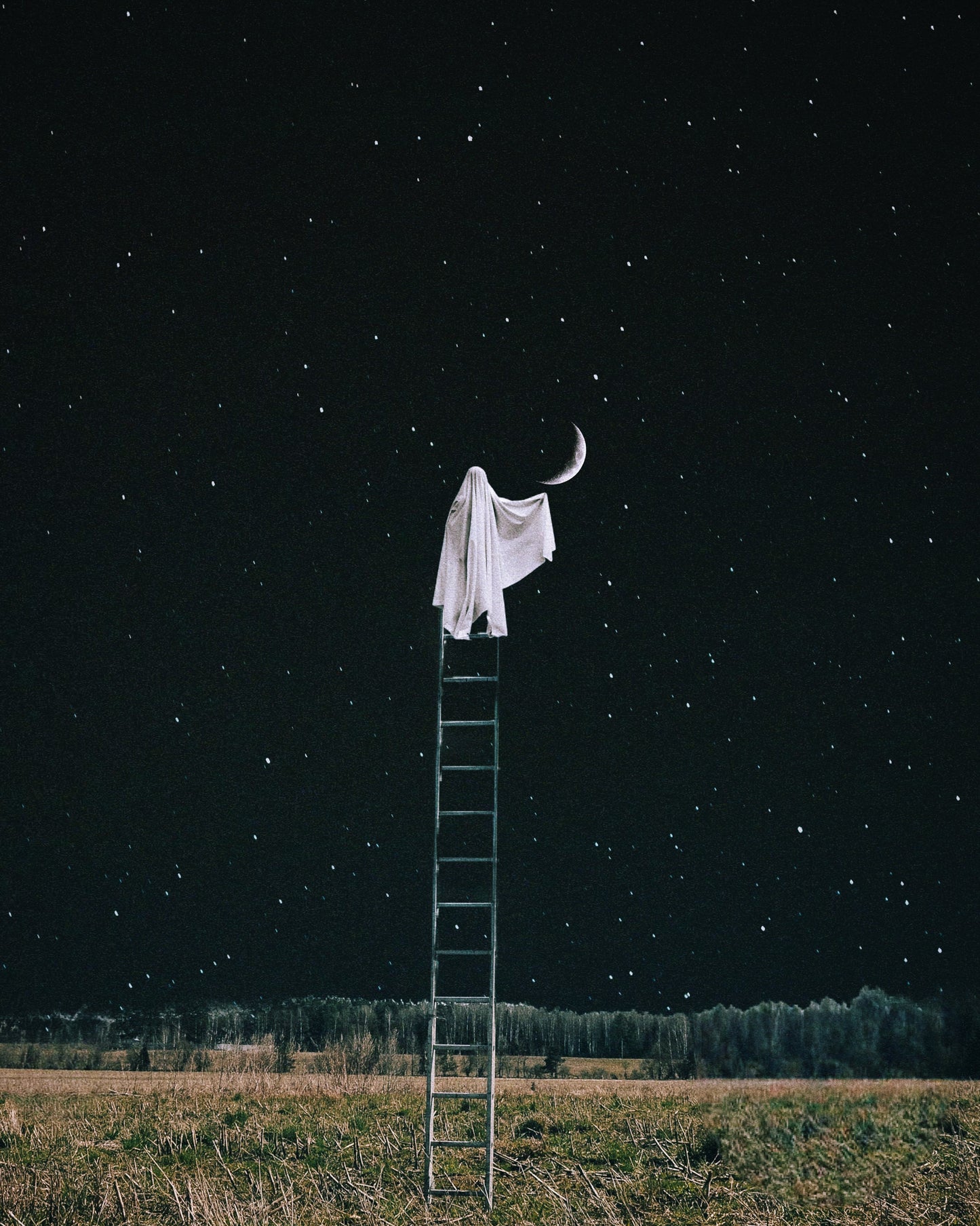 Adjusting The Moon Fine Art Print - Cult Class Art Shop