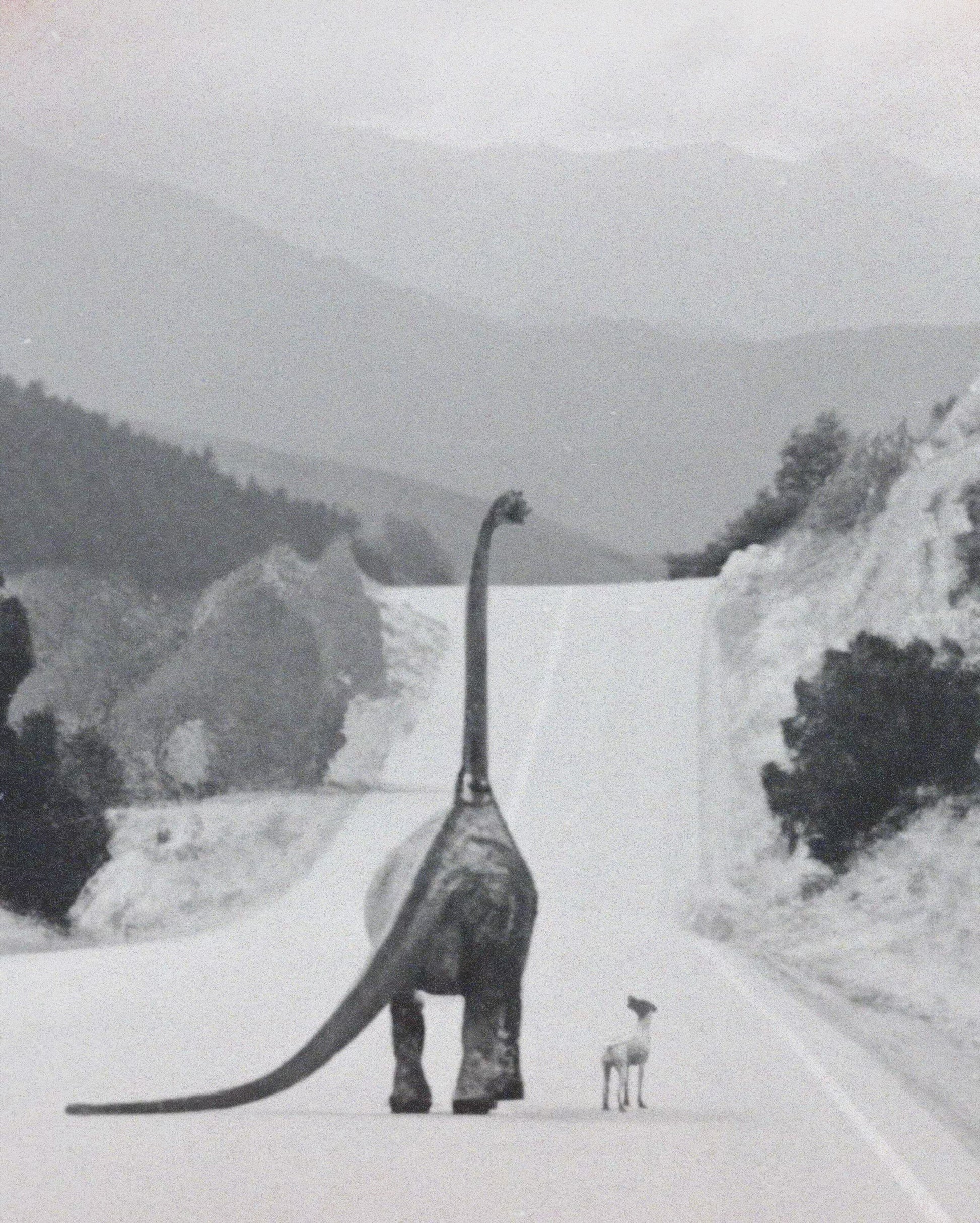 Buddies Fine Art Print - Cult Class Art Shop