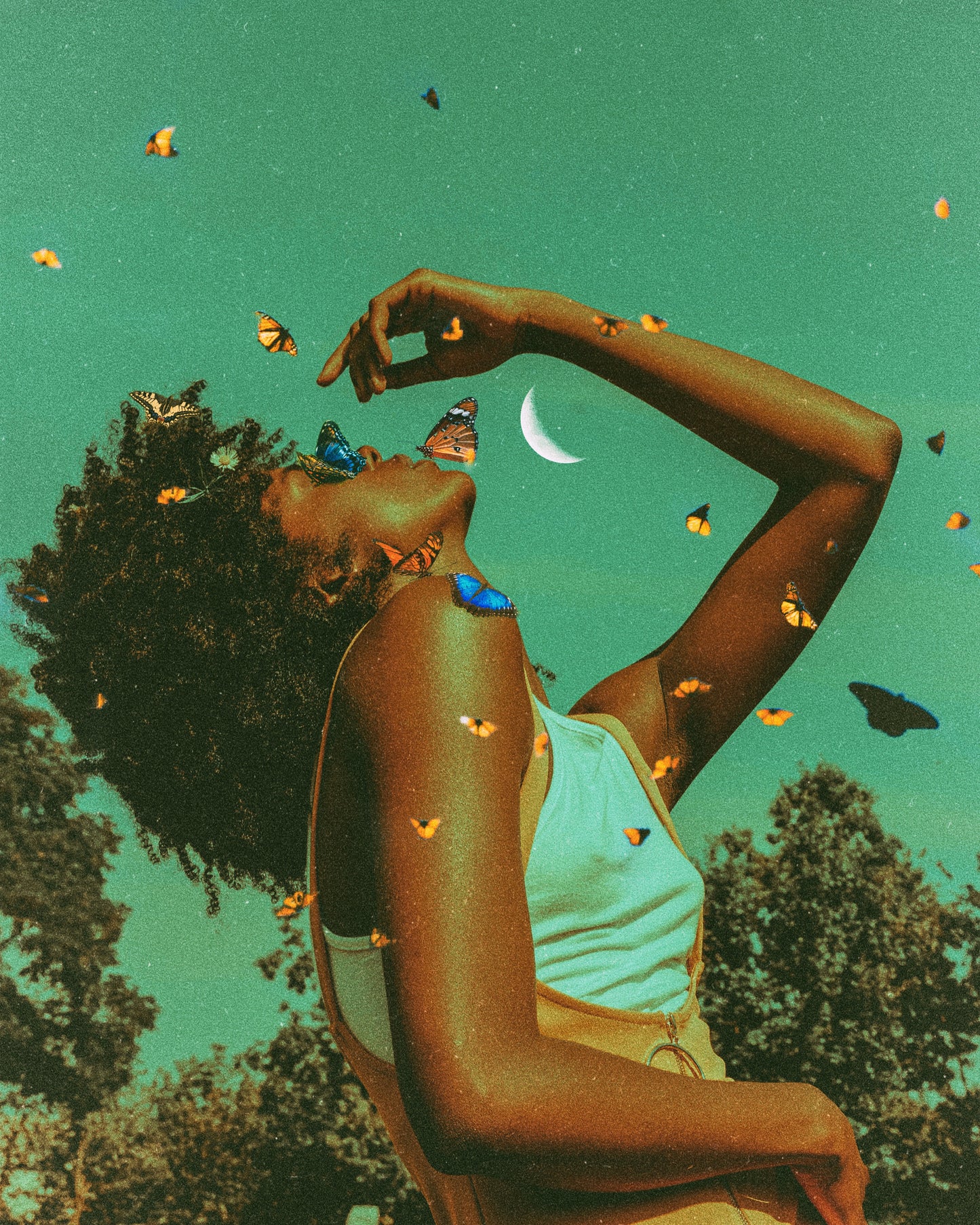 Butterfly Whispers Fine Art Print