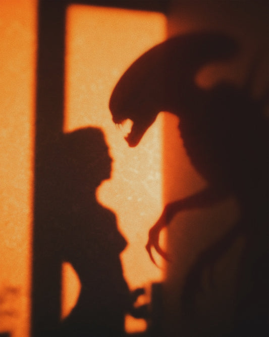 Visitor Fine Art Print