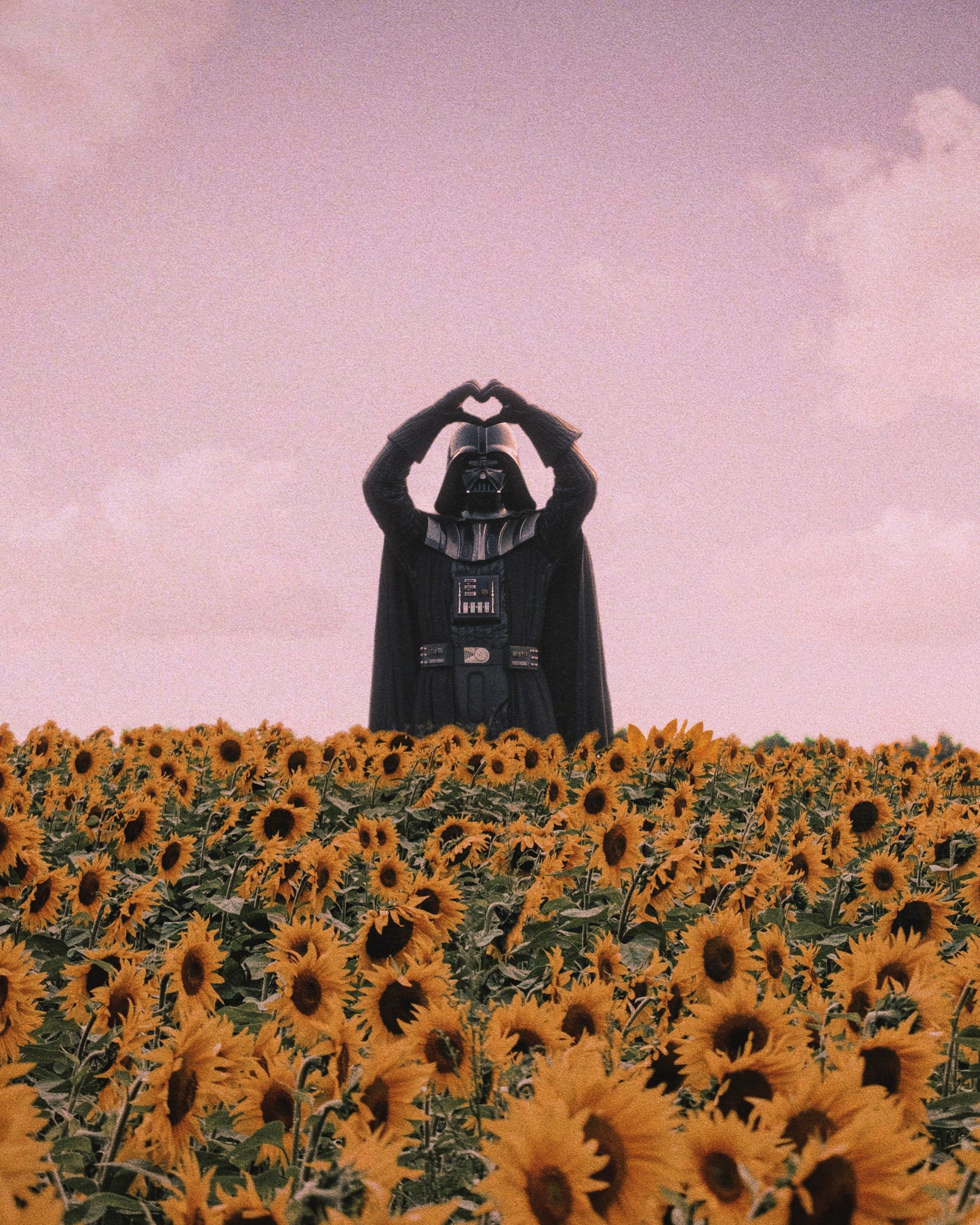 Even Darth Gets It Fine Art Print