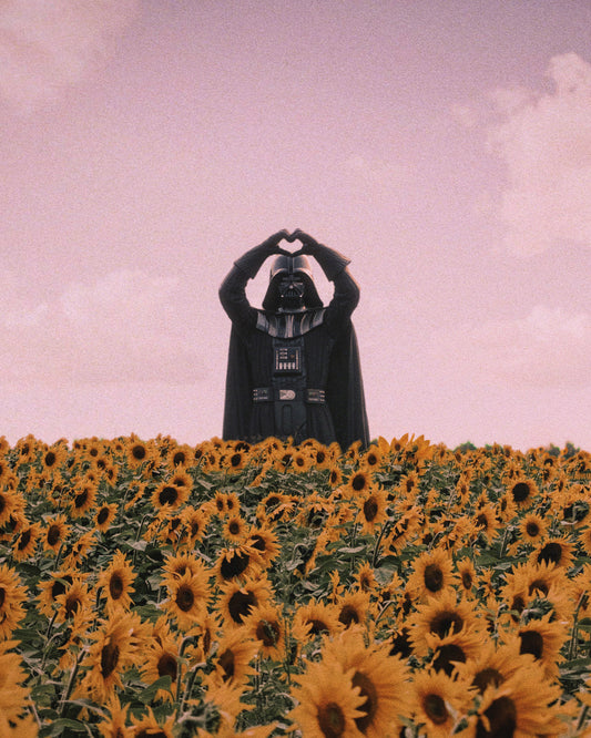 Even Darth Gets It Fine Art Print