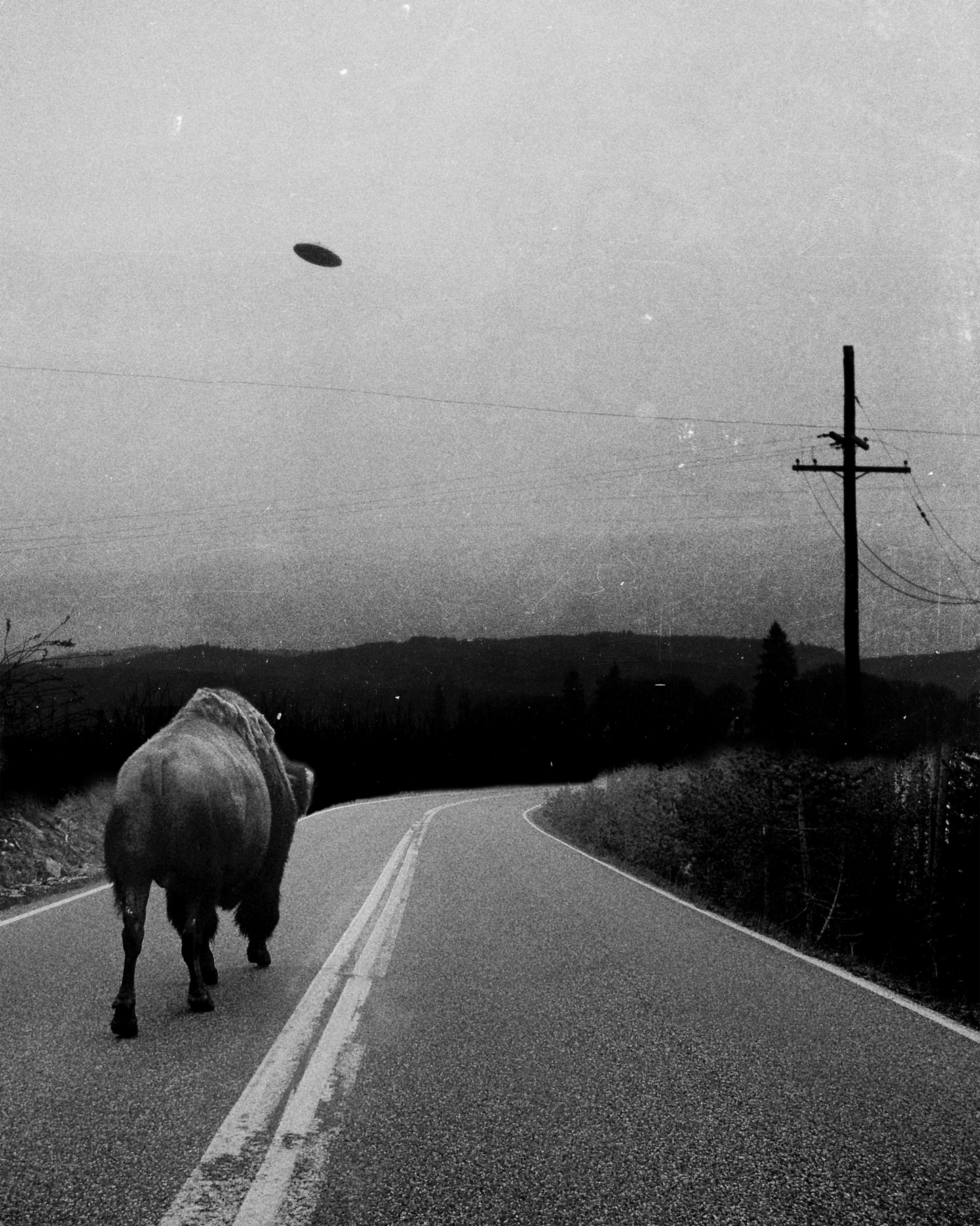 Americana Fine Art Print