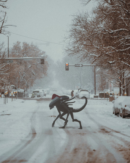 Tis The Season Fine Art Print