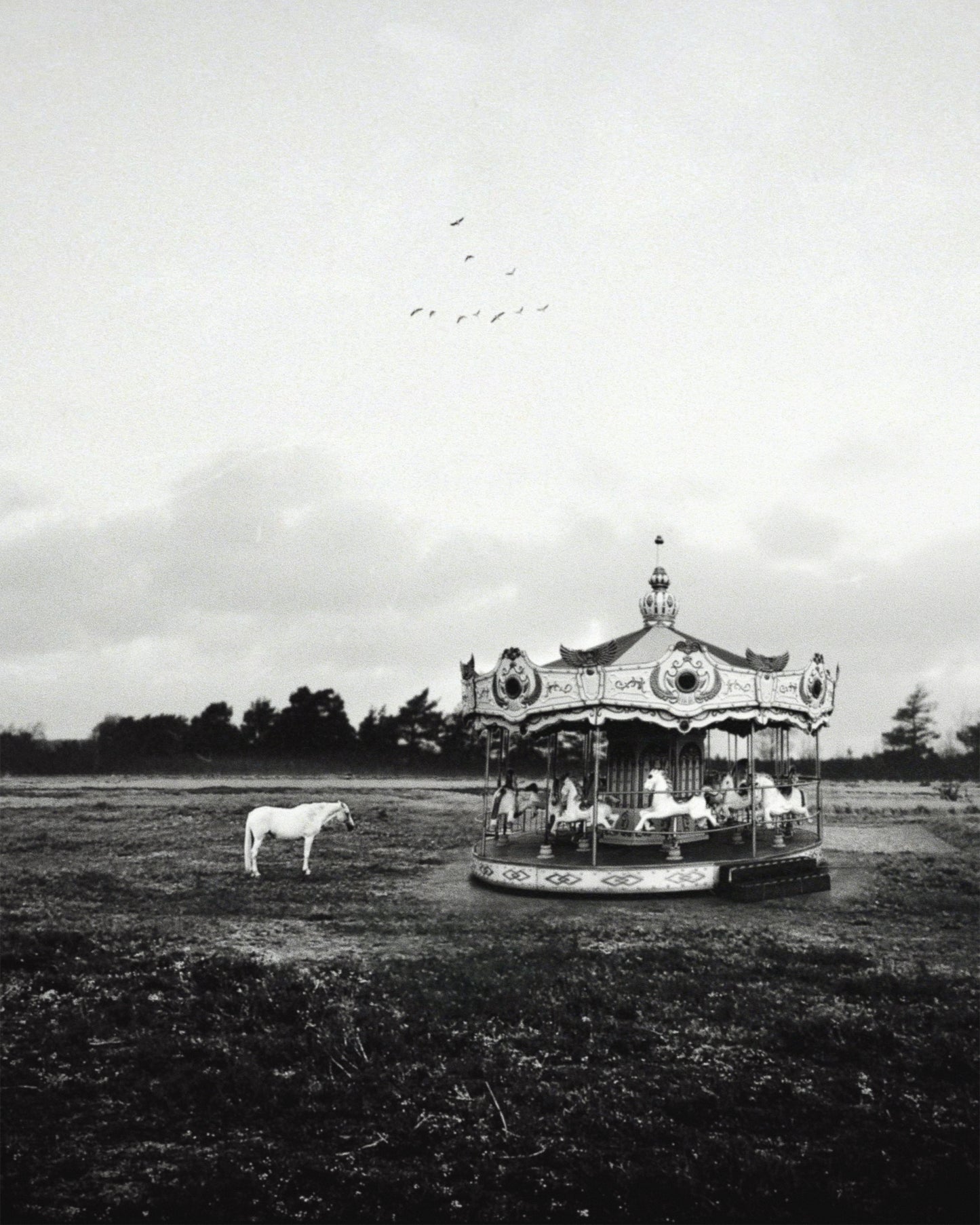 To Be Free Fine Art Print