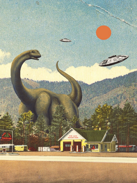 Pine Lake Trailer Park Fine Art Print