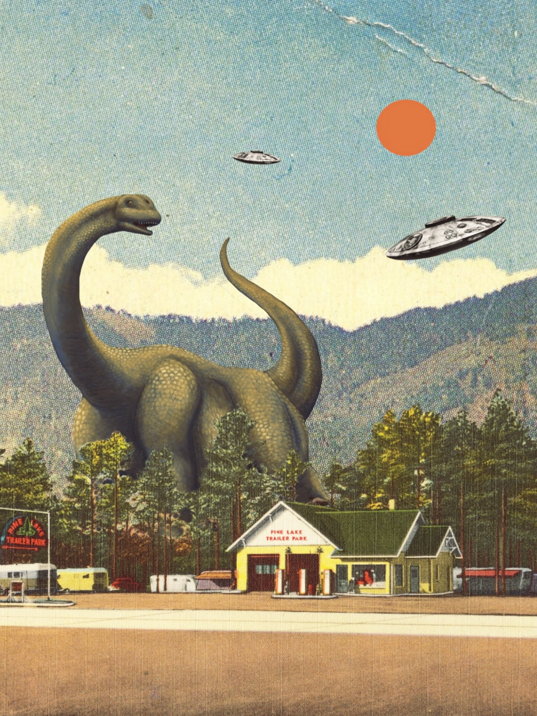 🎁 Pine Lake Trailer Park Fine Art Print (100% off)