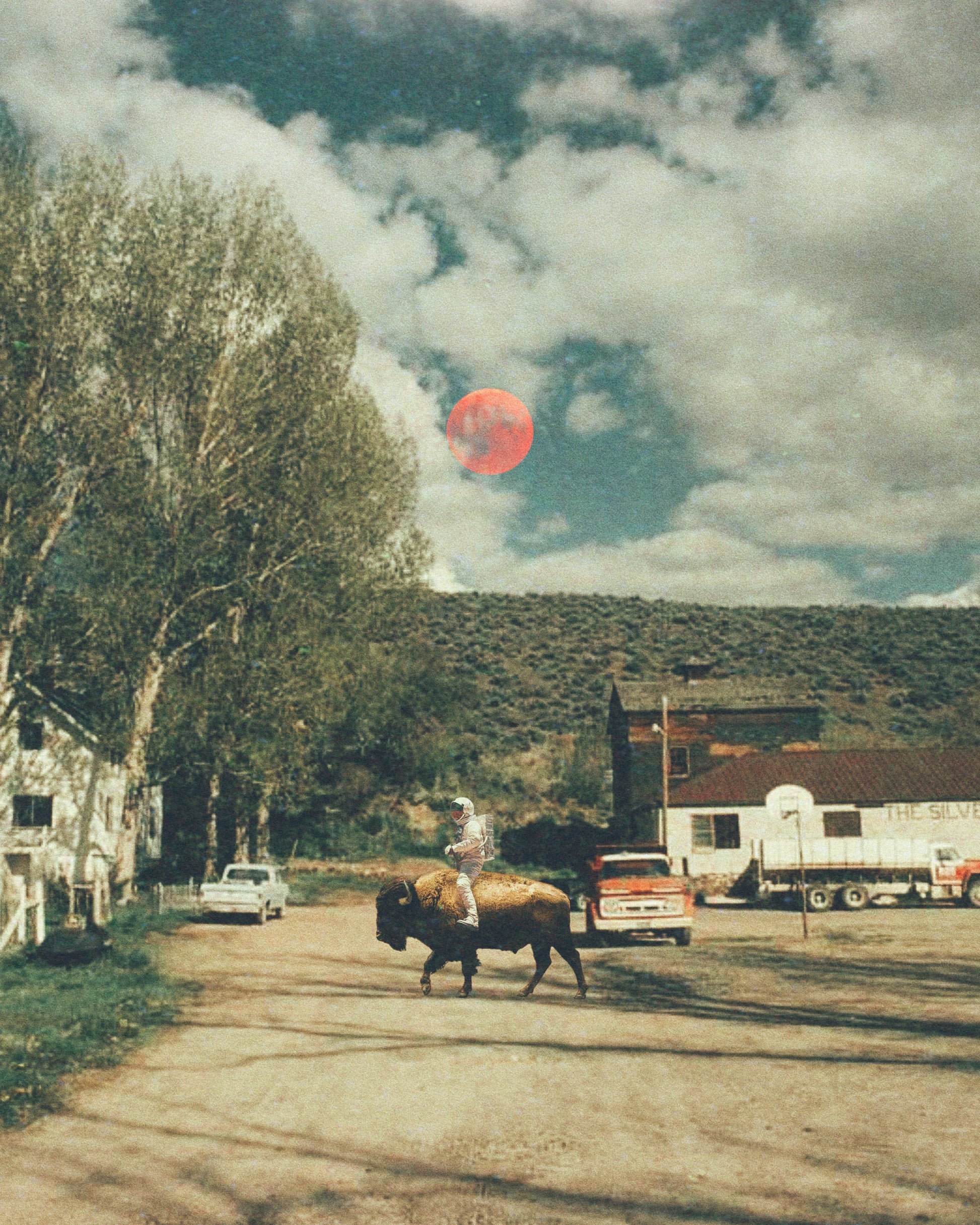 My Bison Friend Fine Art Print - Cult Class Art Shop