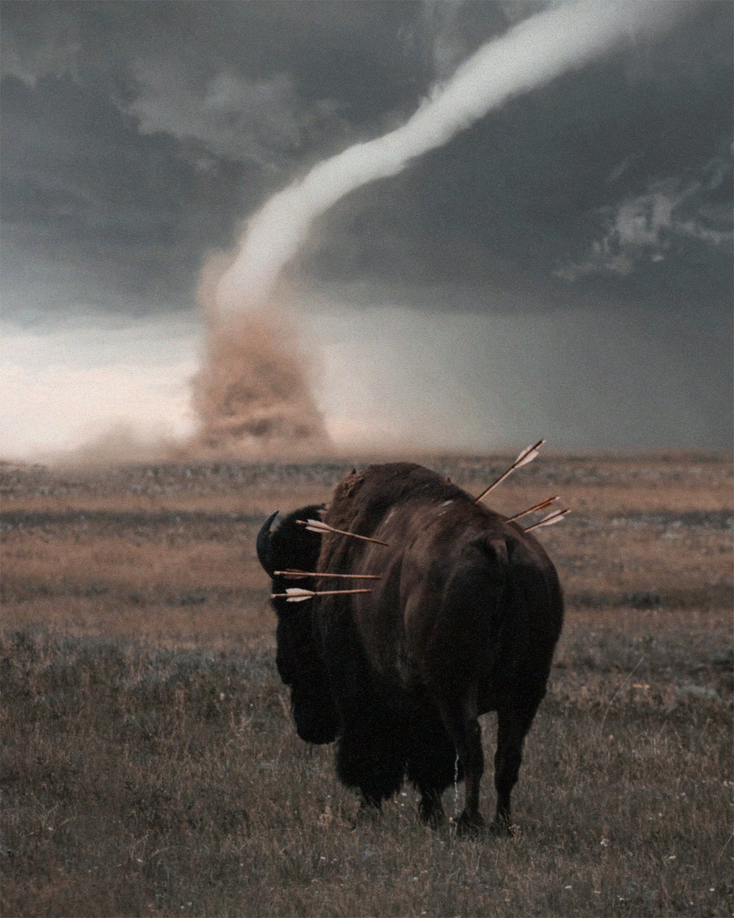 Into the Storm Fine Art Print