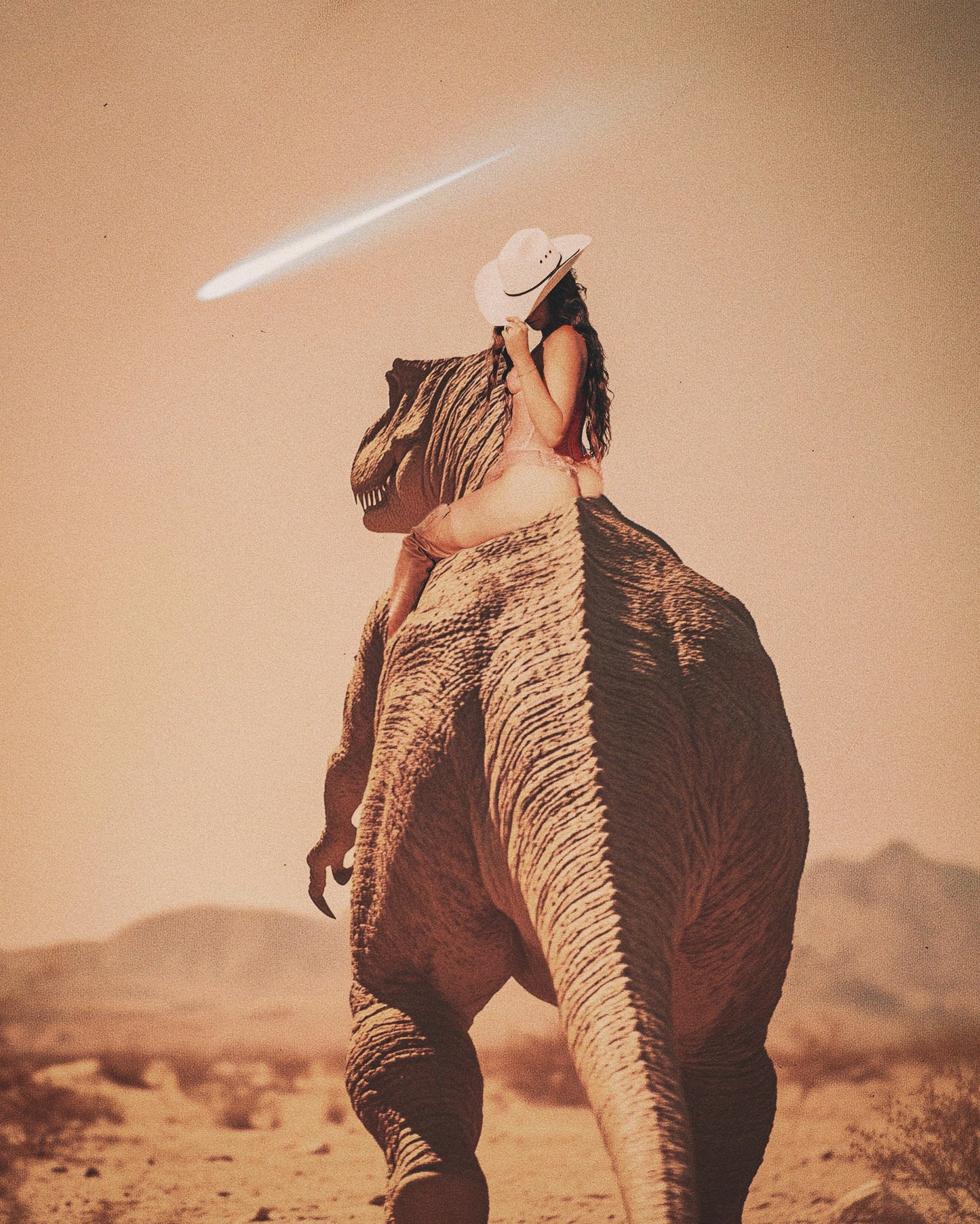 Cowgirl Fine Art Print