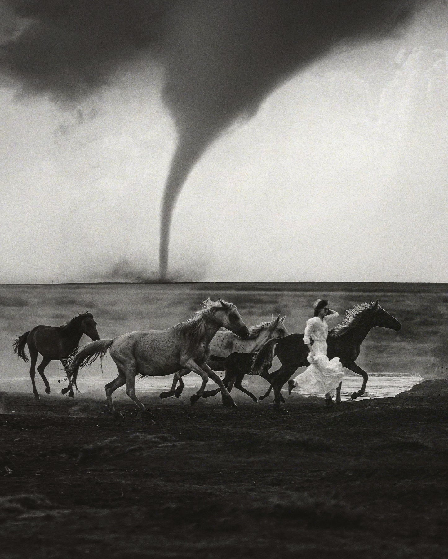 Untamed Fine Art Print