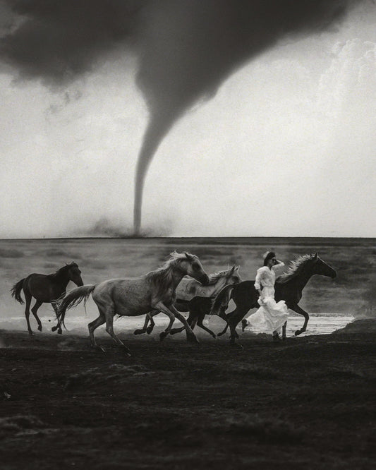 Untamed Fine Art Print