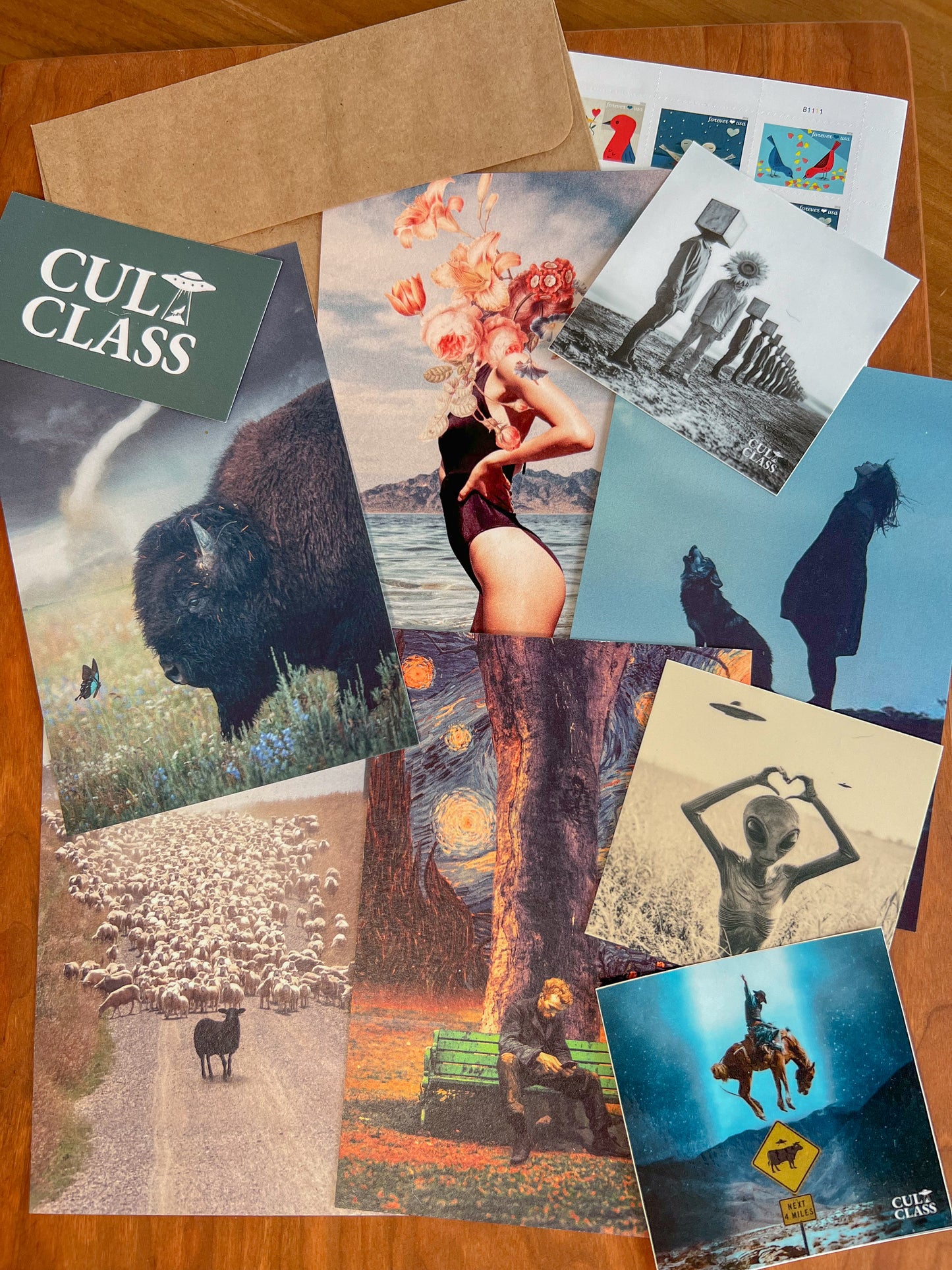 The Cult Class Collectors Club