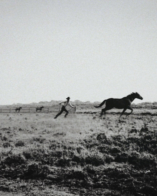 Catch Me If You Can Fine Art Print
