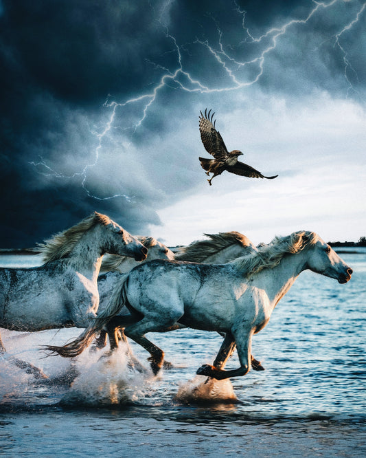 Untamed Fine Art Print