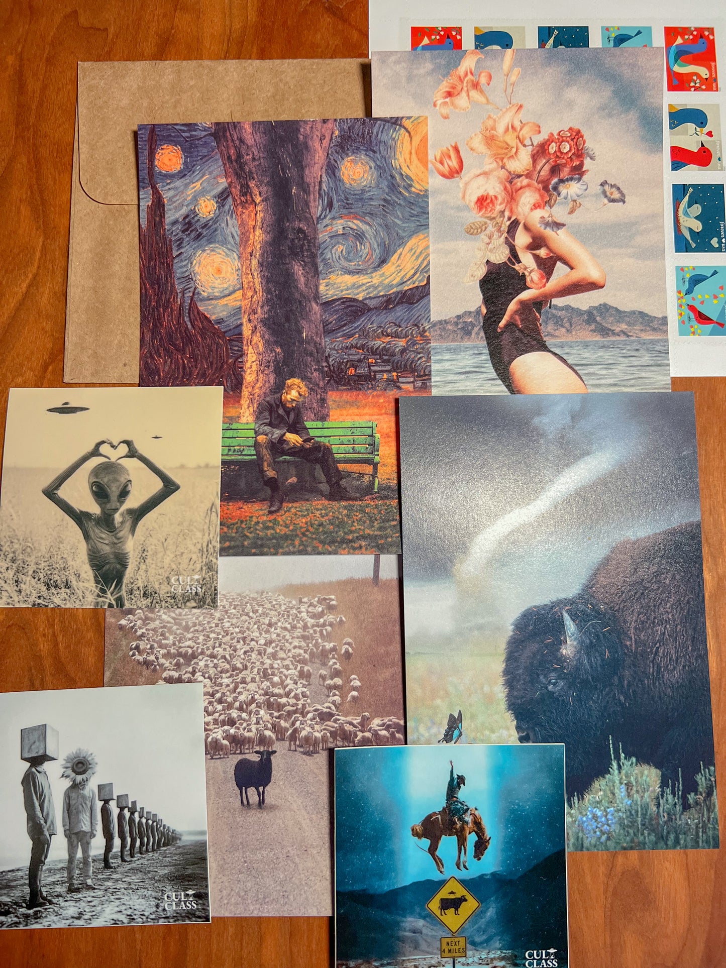 The Cult Class Collectors Club