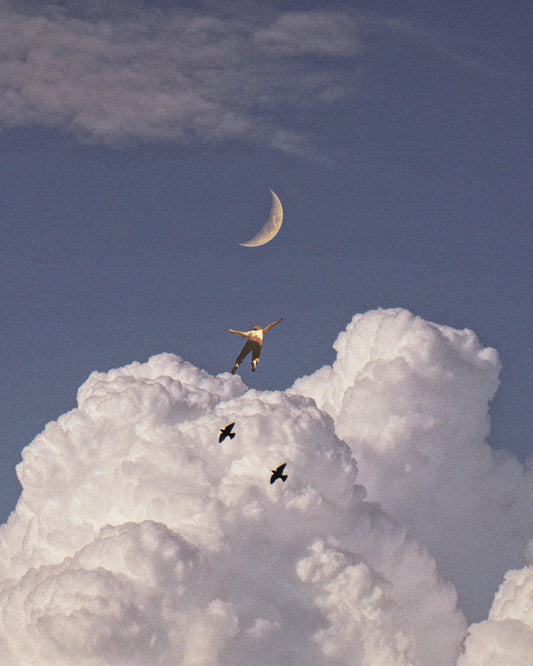 Learning to Fly Fine Art Print - Cult Class Art Shop