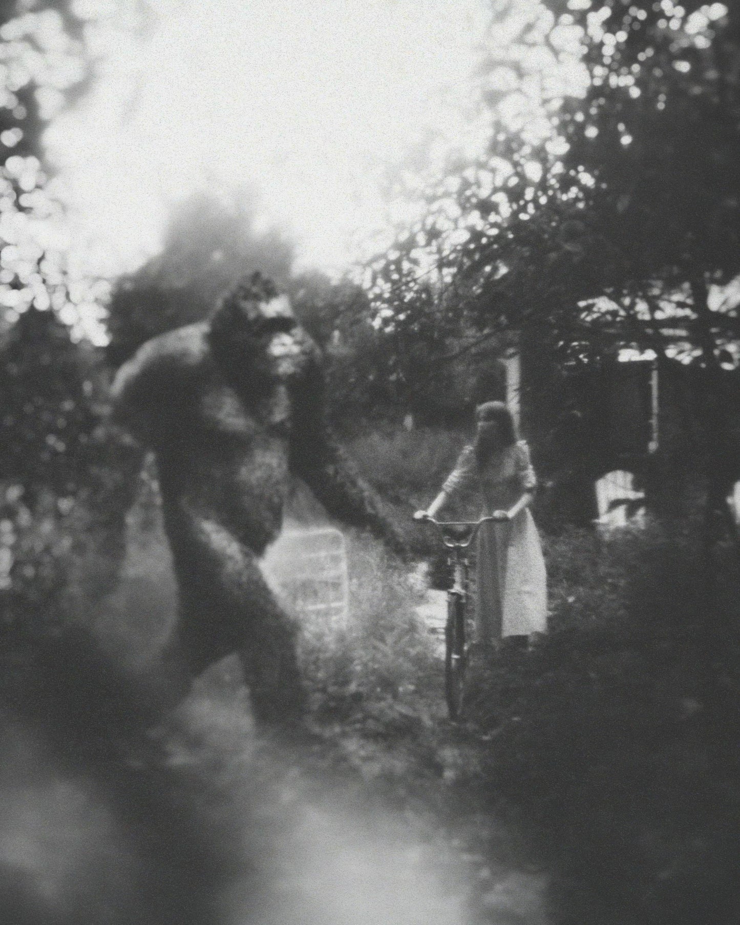 Meeting Bigfoot Fine Art Print - Cult Class Art Shop