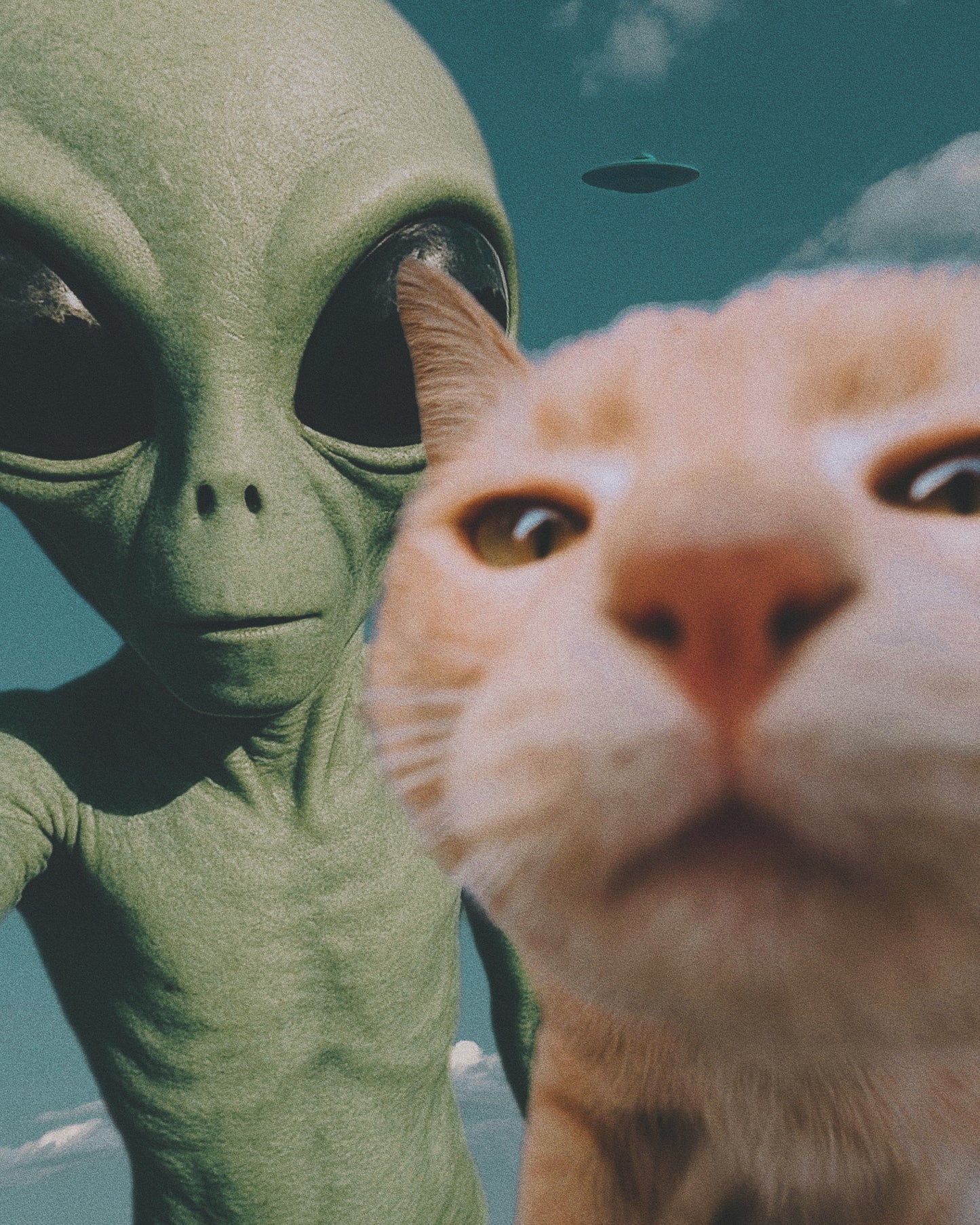 No One's Gunna Believe This Fine Art Print