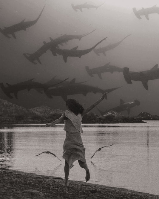 Running with the Sharks Fine Art Print