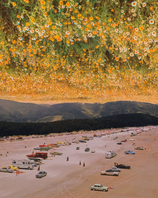 Skies In Bloom Fine Art Print