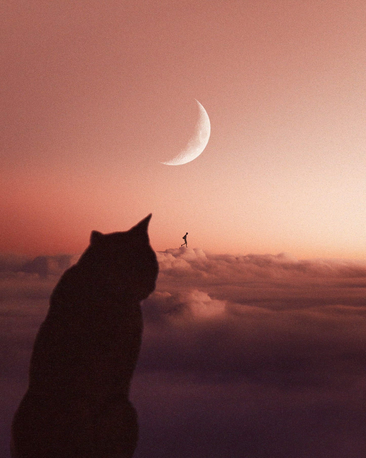 The World In The Clouds Fine Art Print