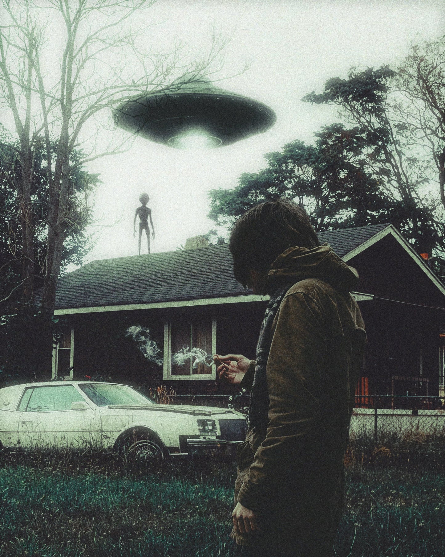 The Visitors Fine Art Print